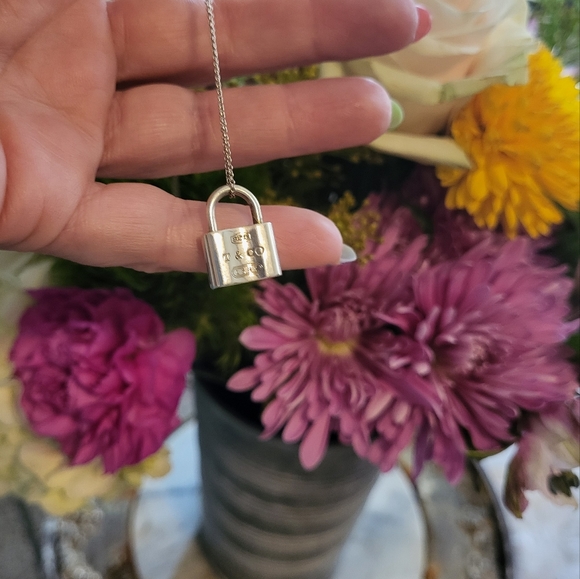 RARE! Tiffany AND CO LOCKET NECKLACE STATEMENT PIECE 💙 925 Sterling Silver - Picture 8 of 8